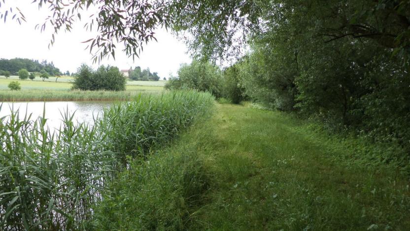 Prodej pole, Dačice - Dačice I, 5516 m2