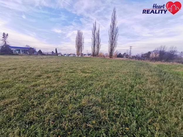 Prodej komerčního pozemku, Neplachovice, Na Nivě, 4386 m2