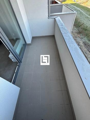 Pronájem bytu 1+kk, Olomouc, Aloise Rašína, 31 m2