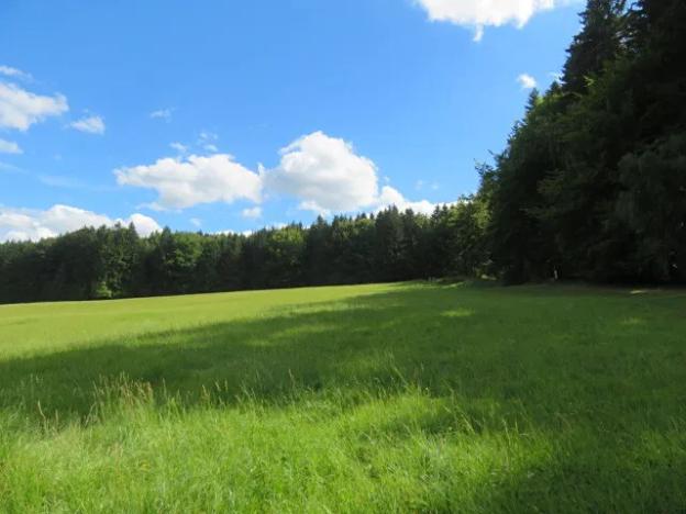 Dražba louky, Pec, 4175 m2