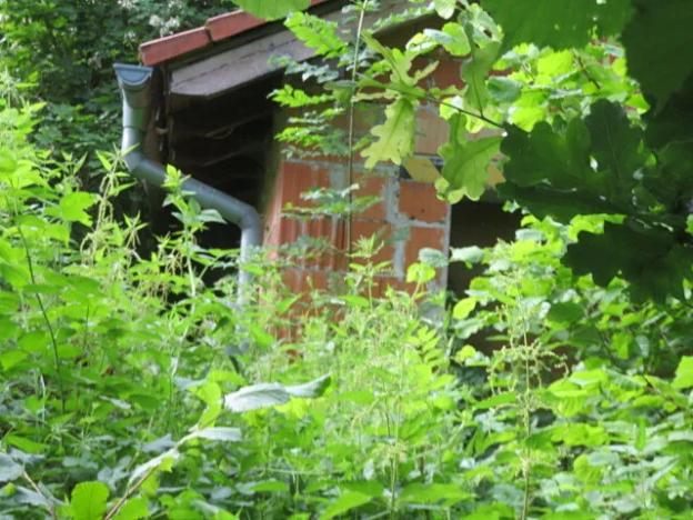 Dražba zahrady, Ústí nad Orlicí, 1390 m2