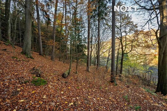 Prodej pozemku pro bydlení, Malá Skála, 3487 m2