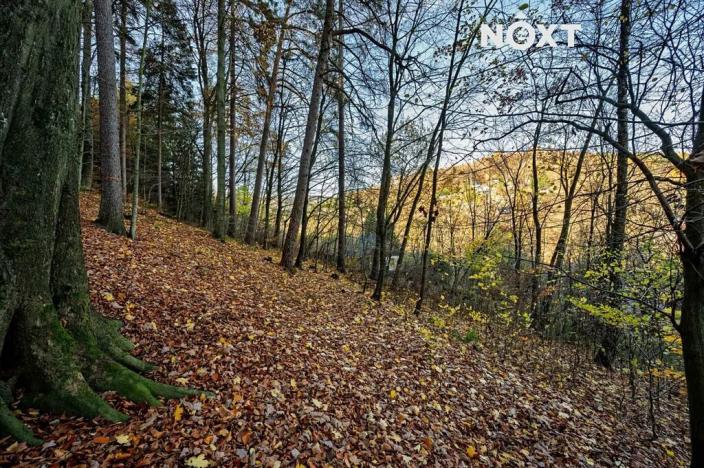 Prodej pozemku pro bydlení, Malá Skála, 3487 m2