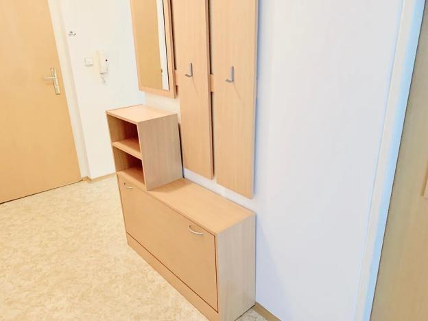 Pronájem bytu 2+kk, Brno, Opálkova, 42 m2