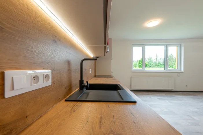 Pronájem bytu 1+kk, Plzeň - Bolevec, Plaská, 51 m2