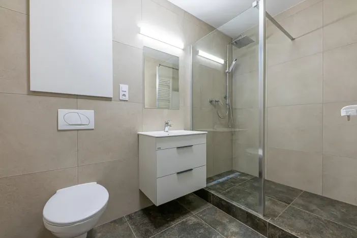 Pronájem bytu 1+kk, Plzeň - Bolevec, Plaská, 51 m2