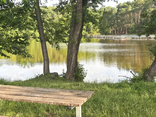 Pronájem bytu 1+kk, Plzeň - Bolevec, Plaská, 51 m2