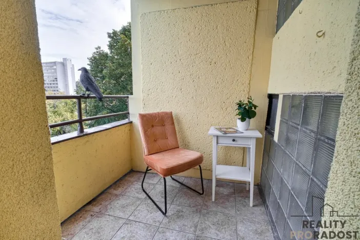 Pronájem bytu 1+kk, Karviná, Prameny, 20 m2