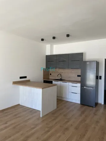 Pronájem bytu 1+kk, Lanškroun, Kežmarská, 50 m2