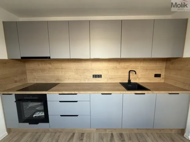 Pronájem bytu 2+1, Most, Maxe Švabinského, 54 m2