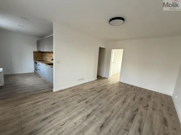 Pronájem bytu 2+1, Most, Maxe Švabinského, 54 m2