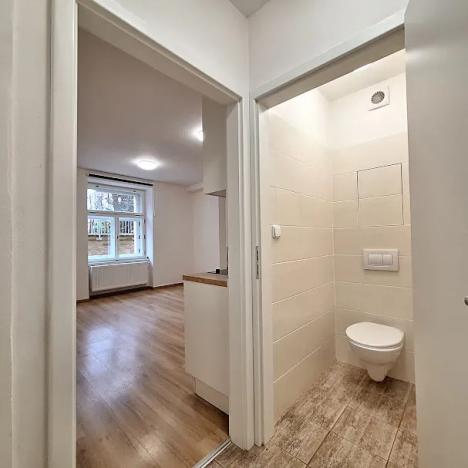 Pronájem bytu 1+kk, Praha - Bubeneč, U zeměpisného ústavu, 26 m2