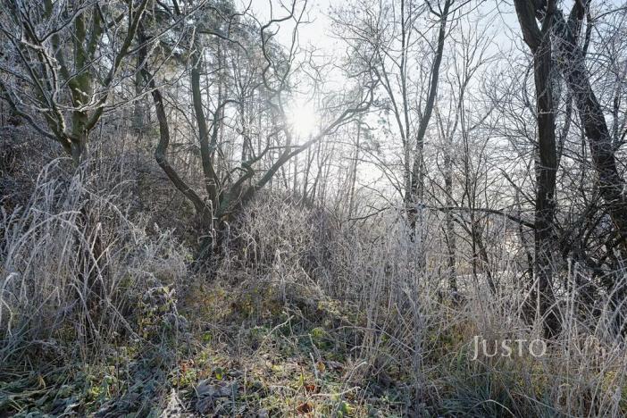 Prodej pozemku pro bydlení, Veletiny, 534 m2