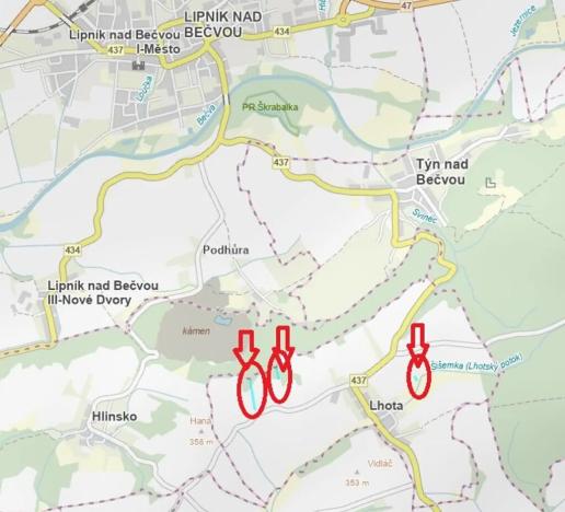 Prodej lesa, Lhota, 6286 m2