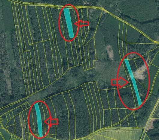 Prodej lesa, Čermná, 9742 m2