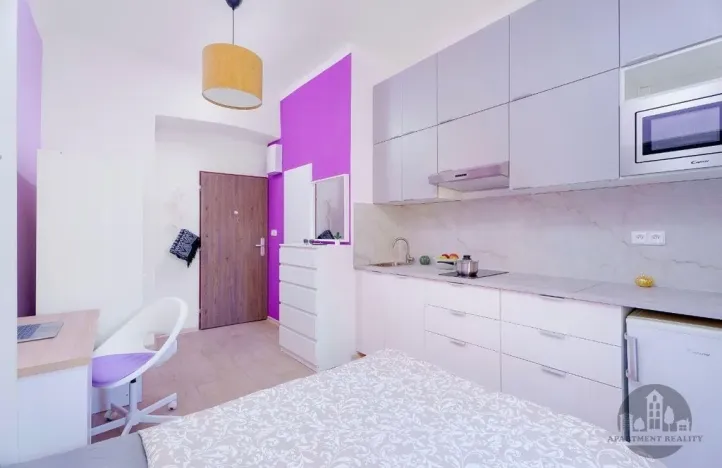 Pronájem bytu 1+kk, Praha - Nusle, Čestmírova, 16 m2