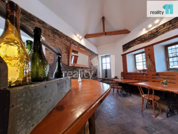 Pronájem restaurace, Kolín - Kolín III, Havelcova, 100 m2