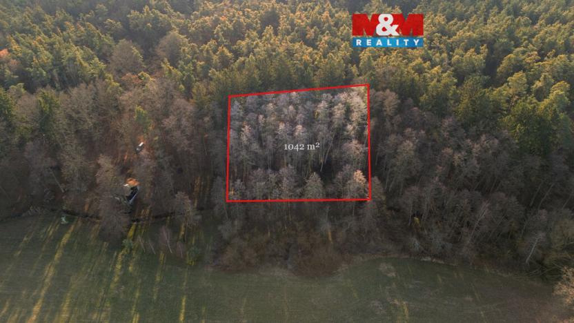 Prodej lesa, Týniště nad Orlicí - Štěpánovsko, 1042 m2