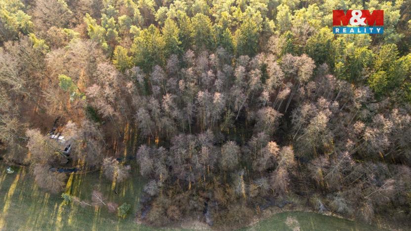 Prodej lesa, Týniště nad Orlicí - Štěpánovsko, 1042 m2