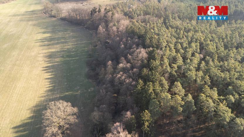 Prodej lesa, Týniště nad Orlicí - Štěpánovsko, 1042 m2