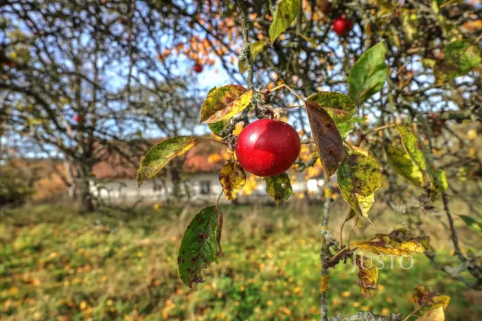 Prodej pozemku pro bydlení, Lipoltice - Sovoluská Lhota, 1089 m2