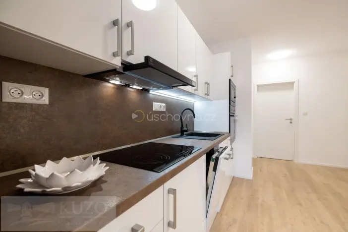 Pronájem bytu 2+kk, Brno, Auerswaldova, 51 m2