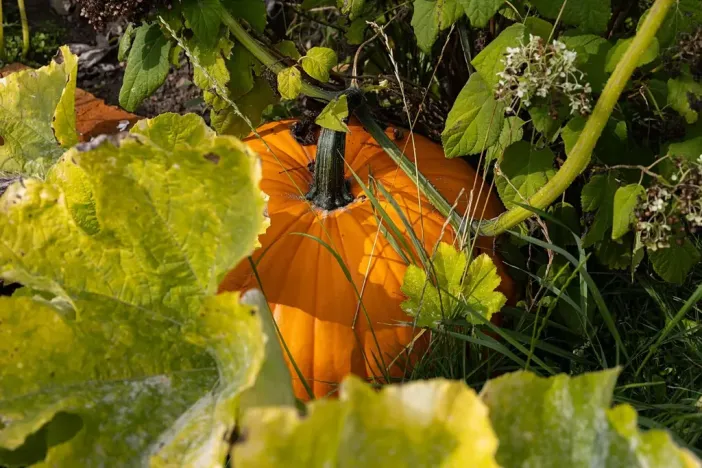 Prodej rodinného domu, Bžany, 240 m2