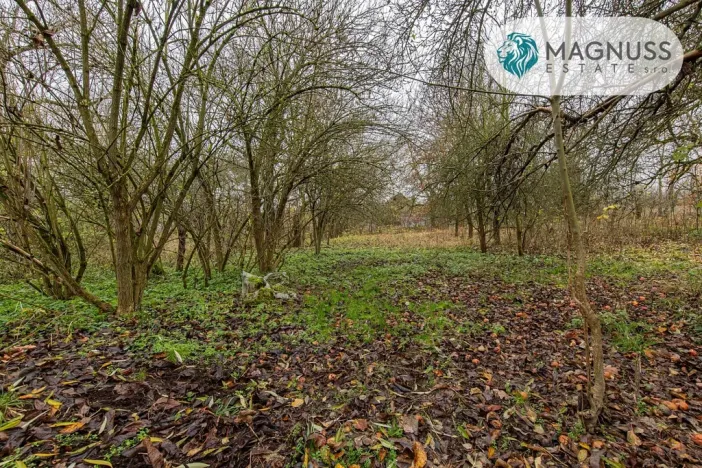 Prodej pozemku, Libina, 7132 m2