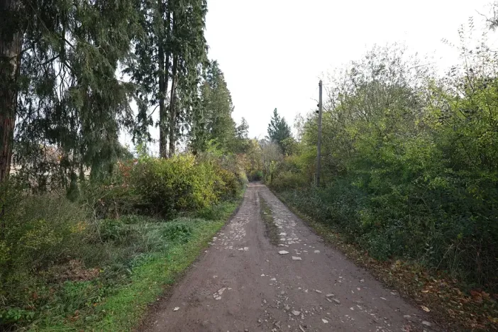 Prodej komerčního pozemku, Nespeky, 7717 m2