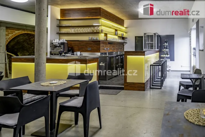 Prodej obchodního prostoru, Pavlov, Česká, 264 m2