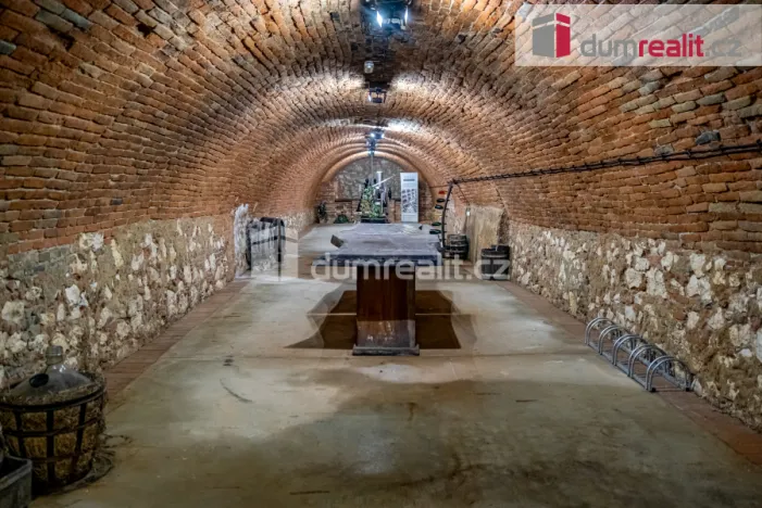 Prodej obchodního prostoru, Pavlov, Česká, 264 m2