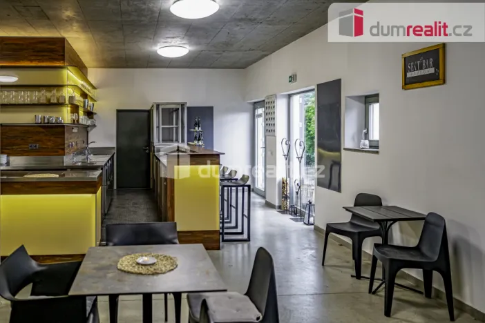 Prodej obchodního prostoru, Pavlov, Česká, 264 m2