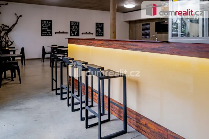 Prodej obchodního prostoru, Pavlov, Česká, 264 m2