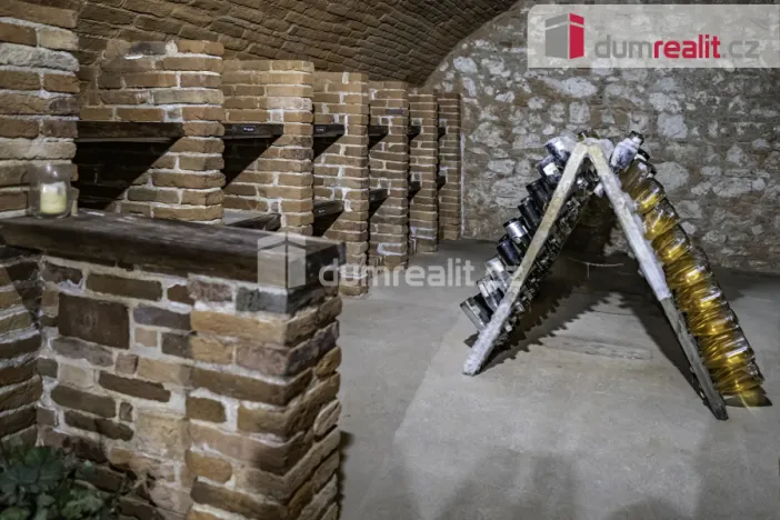 Prodej obchodního prostoru, Pavlov, Česká, 264 m2