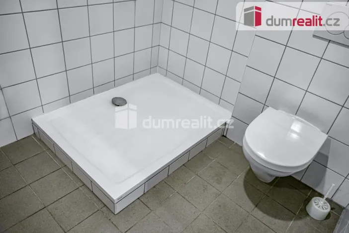 Prodej obchodního prostoru, Pavlov, Česká, 264 m2