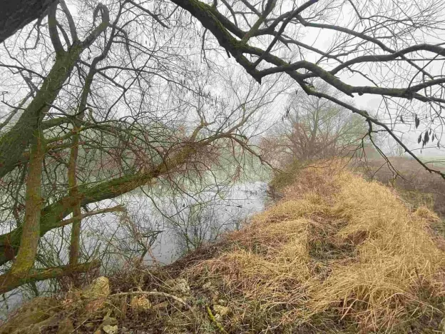 Prodej pole, Ctidružice, 58835 m2