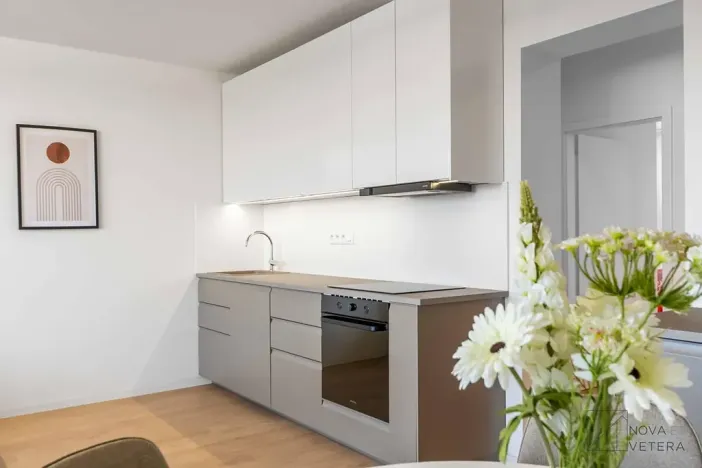 Prodej bytu 4+kk, Praha - Žižkov, Křivá, 100 m2