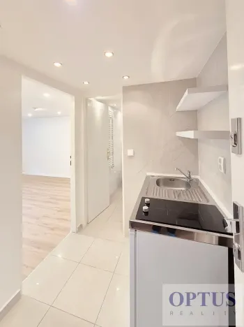 Pronájem bytu 1+kk, Praha - Podolí, Levá, 25 m2