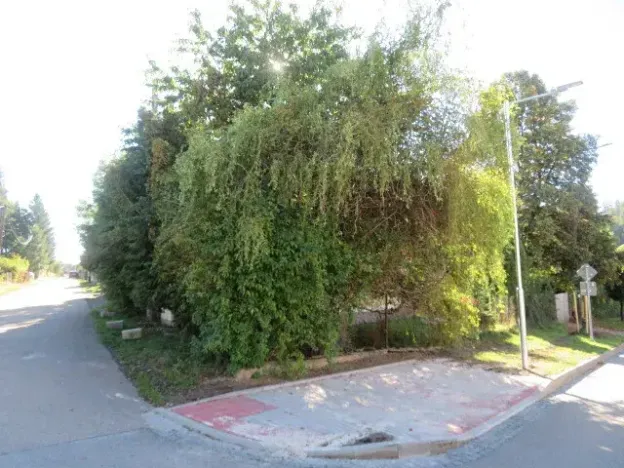Dražba pozemku, Pyšely, 77 m2