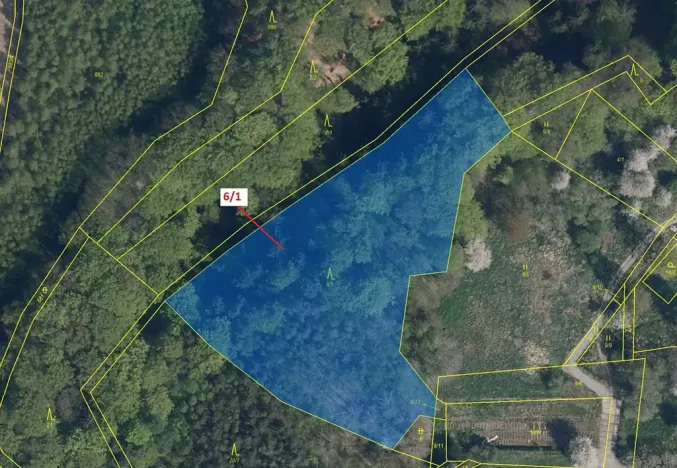 Dražba lesa, Dobřeň, 6871 m2