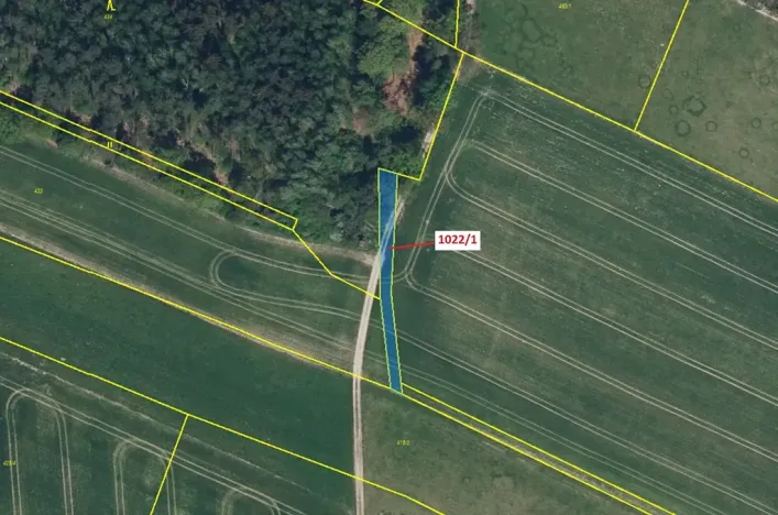 Dražba pole, Olešnice, 318 m2