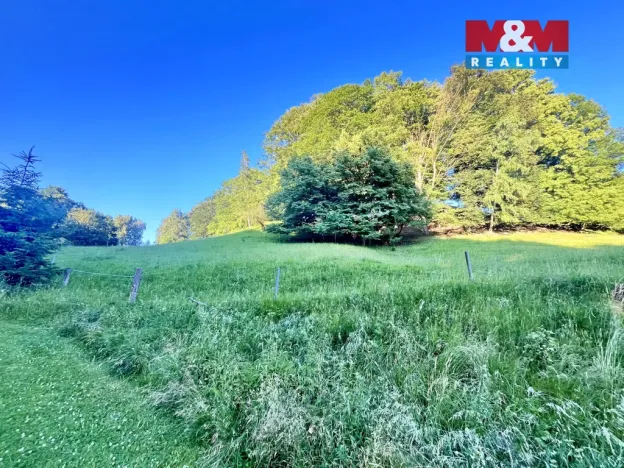 Prodej louky, Teplice nad Metují - Horní Teplice, 5449 m2