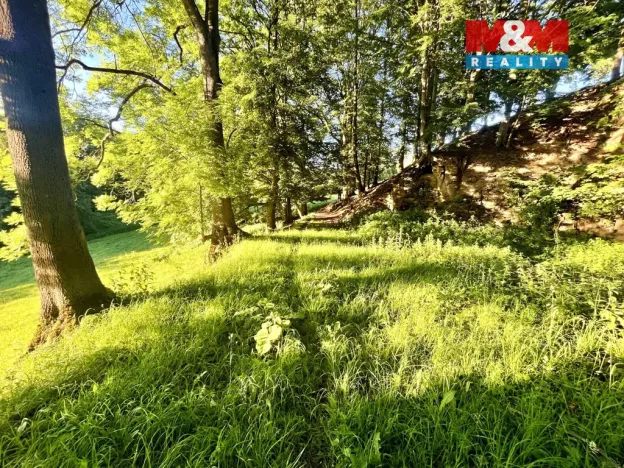 Prodej louky, Teplice nad Metují - Horní Teplice, 5449 m2