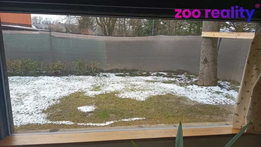 Prodej chaty, Olešná, 58 m2