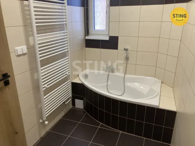 Pronájem bytu 1+1, Opava, Hviezdoslavova, 40 m2