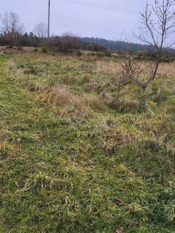 Prodej pozemku pro bydlení, Milešov, 1317 m2