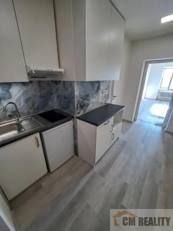 Pronájem bytu 1+kk, Prostějov, Kotěrova, 30 m2