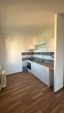 Pronájem bytu 3+1, Bílina, Síbova, 68 m2