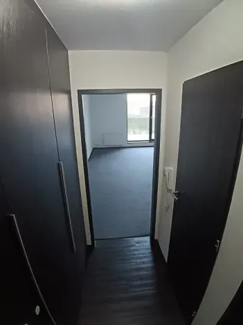 Pronájem bytu 1+kk, Brno, Hlinky, 44 m2