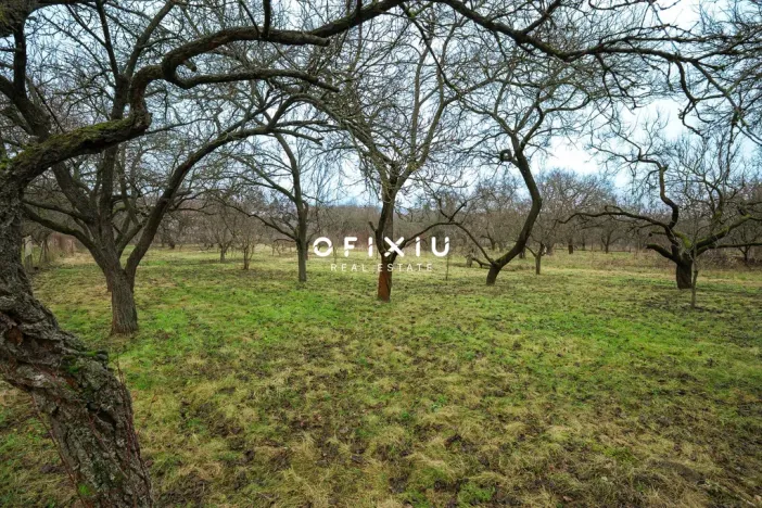 Prodej pozemku pro bydlení, Modřice, Zahrádky, 2388 m2